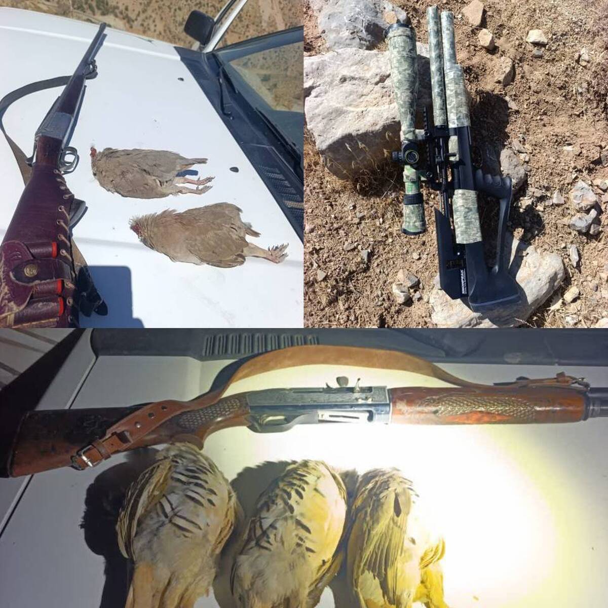 سه گروه از شکارچیان متخلف حیات وحش حین ارتکاب جرم دستگیر شدند