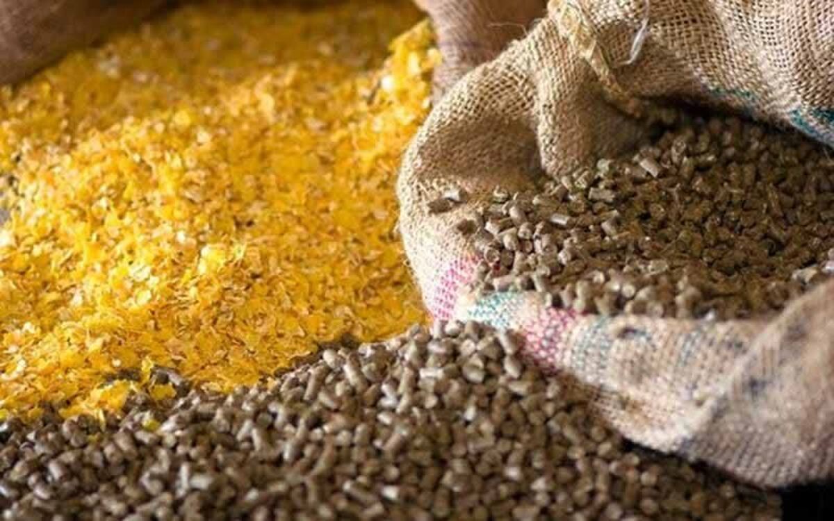 کشف ۱۷ تن نهاده‌های دامی قاچاق در سنقروکلیایی