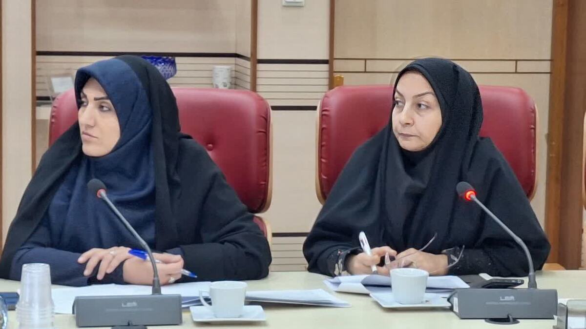 ۸۵ نفر از معلولان در دستگاههای اجرایی استان قزوین جذب شدند