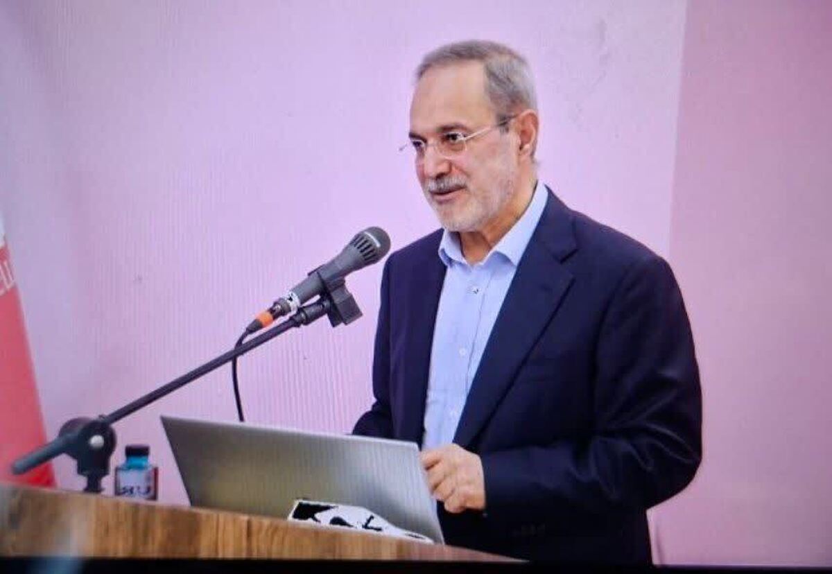 تأکید معاون وزیر کشور بر نقش سمن‌ها در حل مسائل اجتماعی