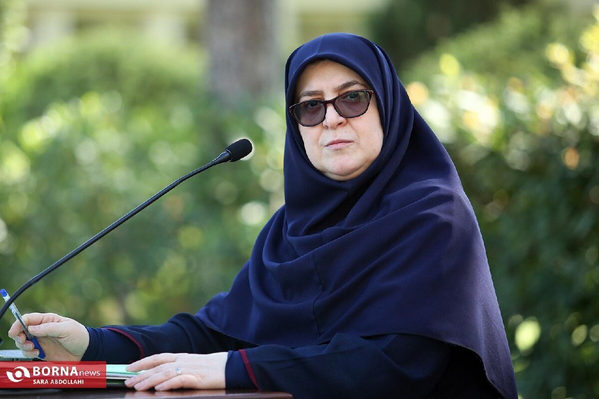 مهاجرانی: سند نقشه راه سلامت الکترونیک کشور تصویب شد