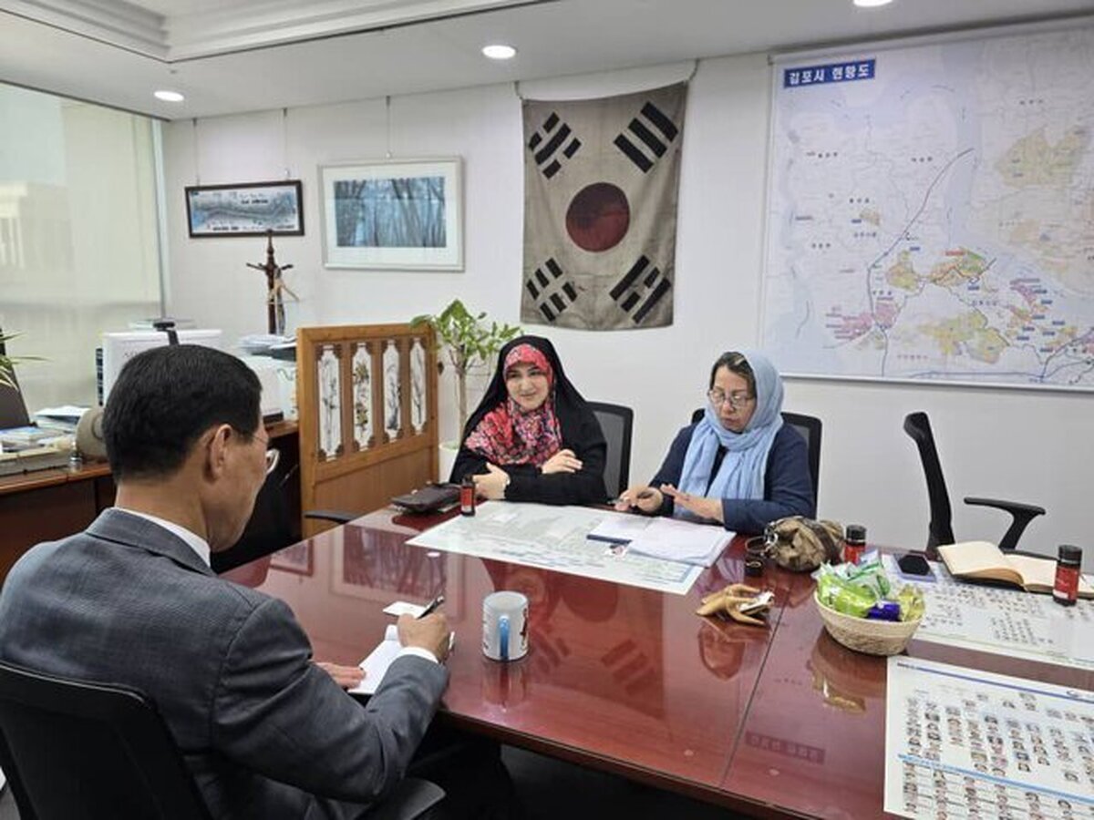 انتقاد رفیعی از عملکرد کره جنوبی در شورای امنیت سازمان ملل/ نماینده مجلس ملی کره: تحت تاثیر فشارهای اسرائیل و آمریکا بودیم