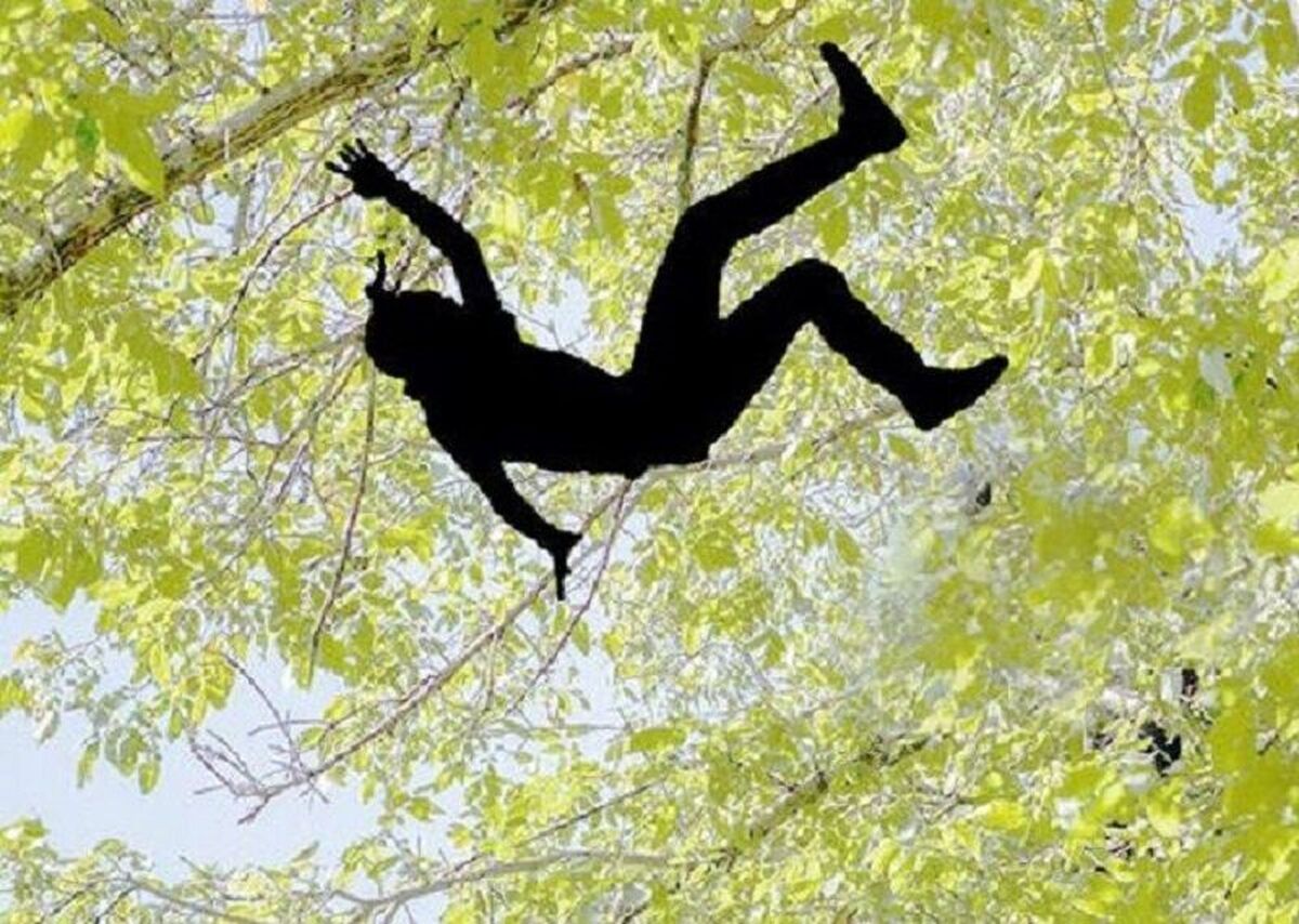 از ابتدای شهریور تاکنون؛ گردوتکانی جان هفت نفر را در همدان گرفت