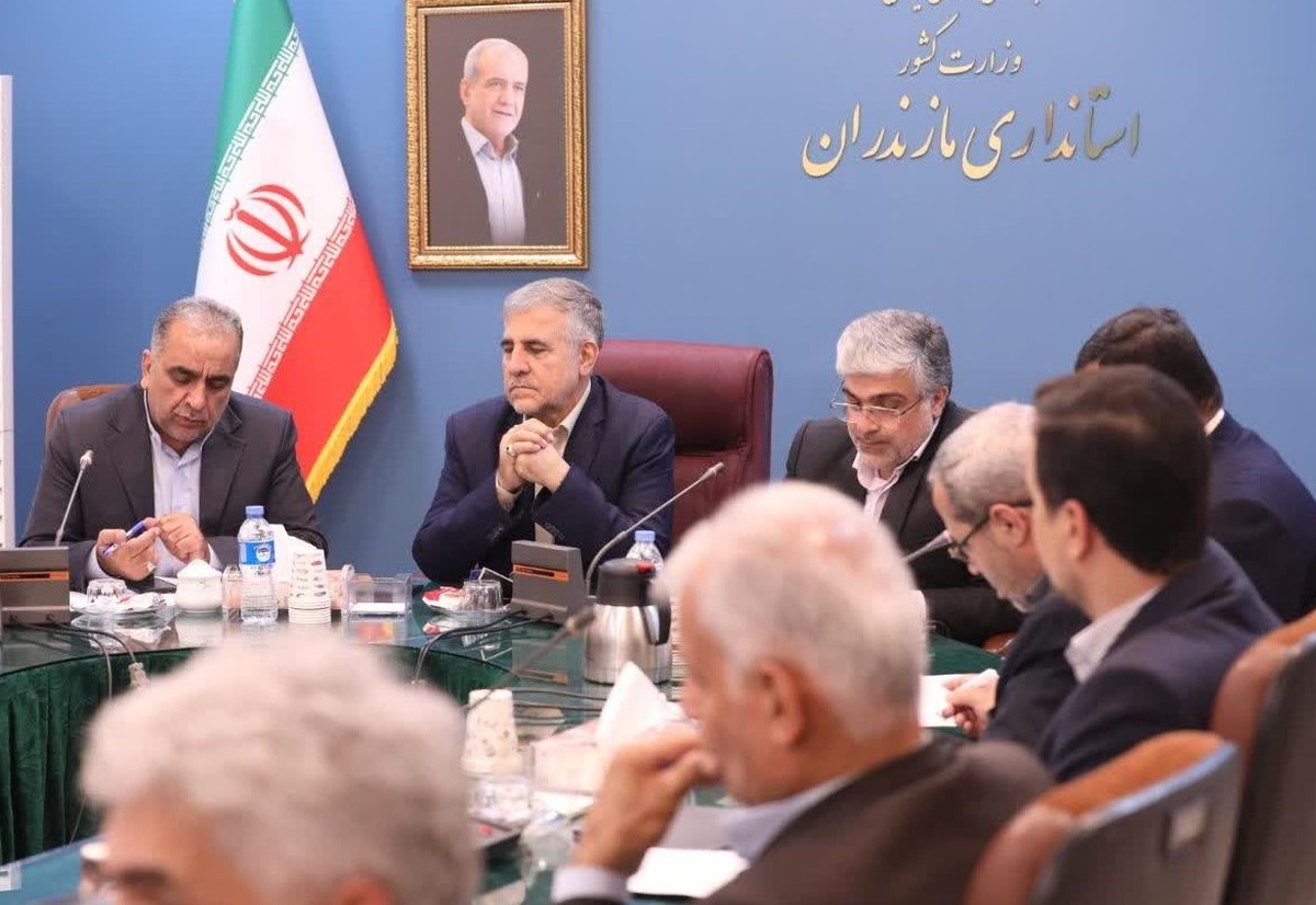 تداوم پیگیری‌ها برای تعادل قیمت مرغ در استان مازندران