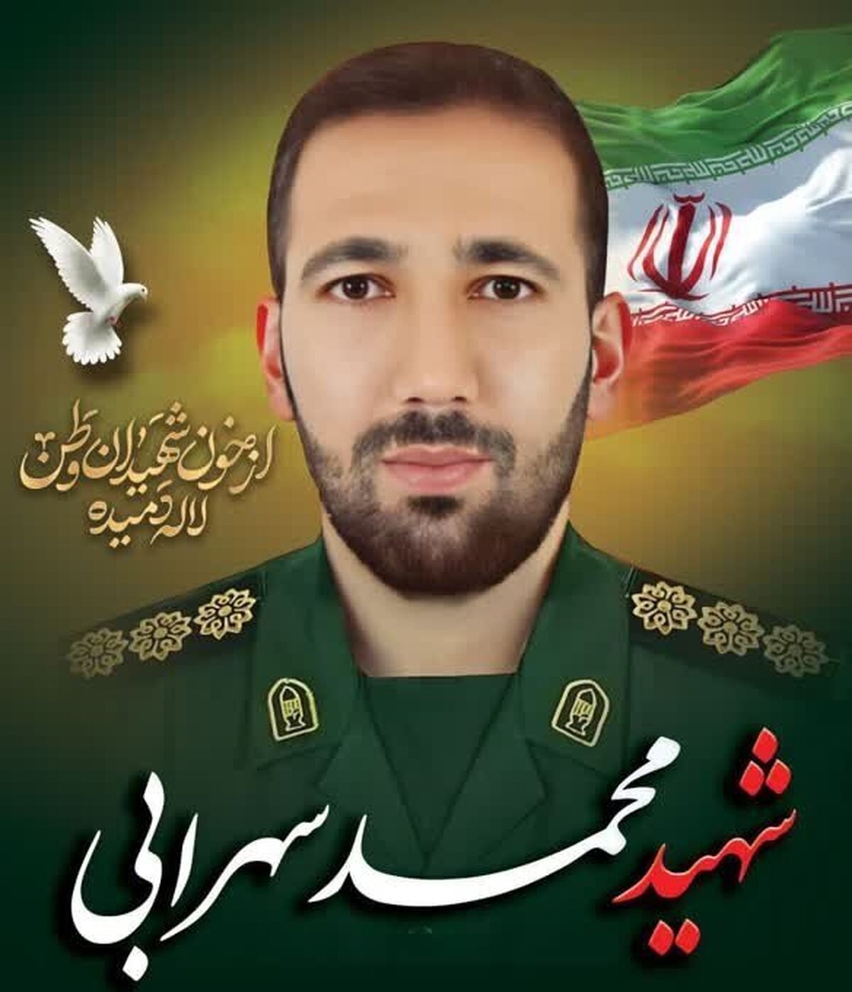 جانباز جنگ ۱۲ روزه در نهاوند به شهادت رسید