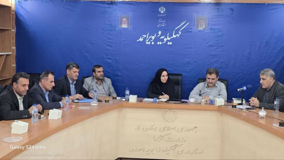 برنامه‌ریزی برای تحقق هدف صادرات ۴۳ میلیون دلاری کهگیلویه و بویراحمد