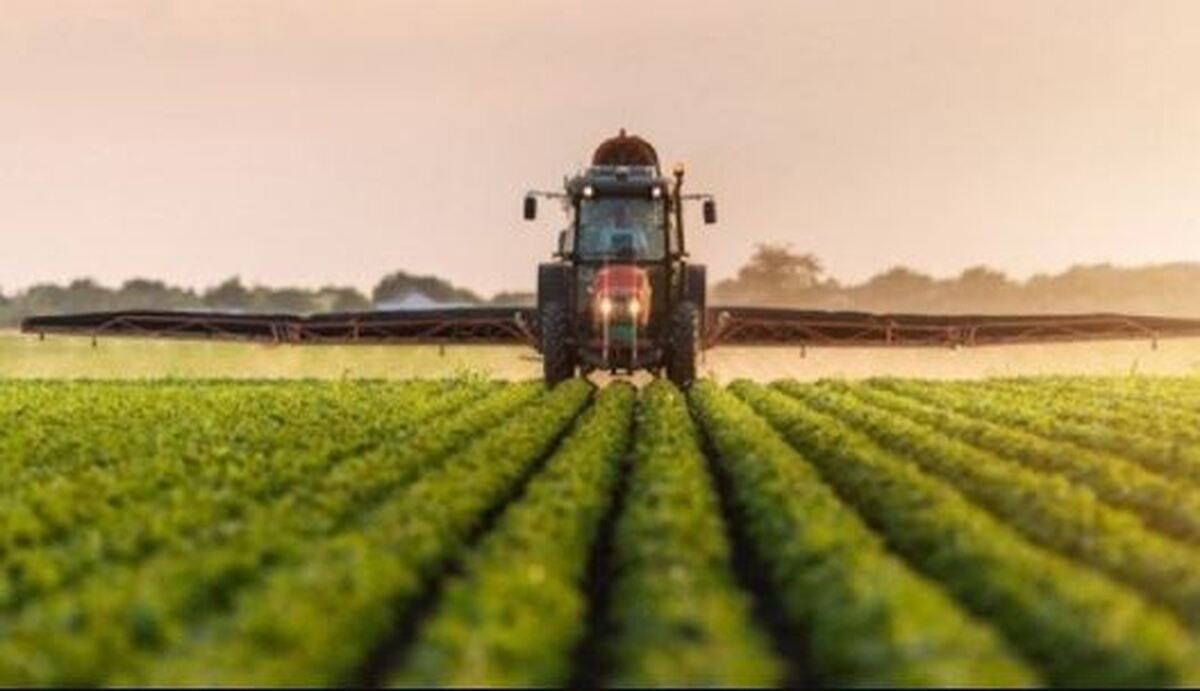 سهم ۴۴۶ هزار تنی آذربایجان‌غربی در تجارت کشاورزی کشور