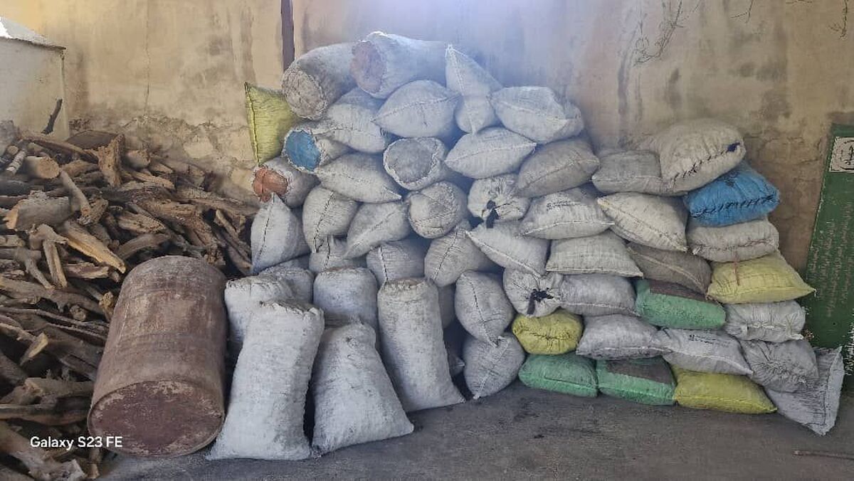 کشف بیش از ۶ تن چوب و زغال قاچاق در کهگیلویه و بویراحمد