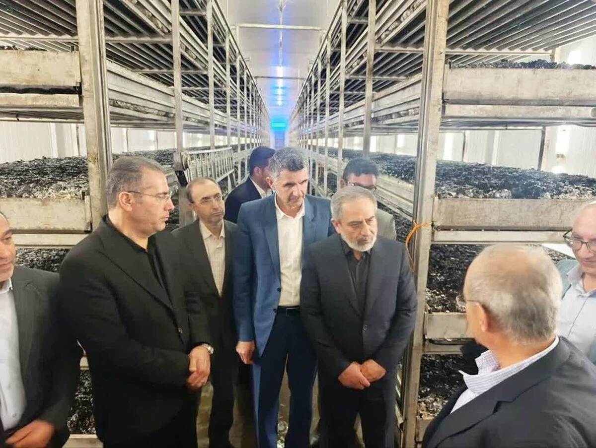 بازدید معاون اقتصادی استانداری قزوین از شرکت جلگه صدف آبیک 