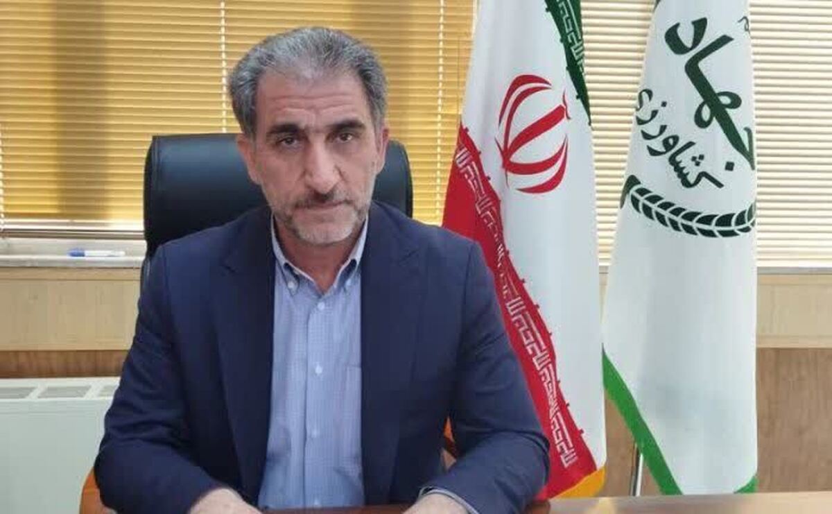 آغاز برداشت خرما در شهرستان مهران 