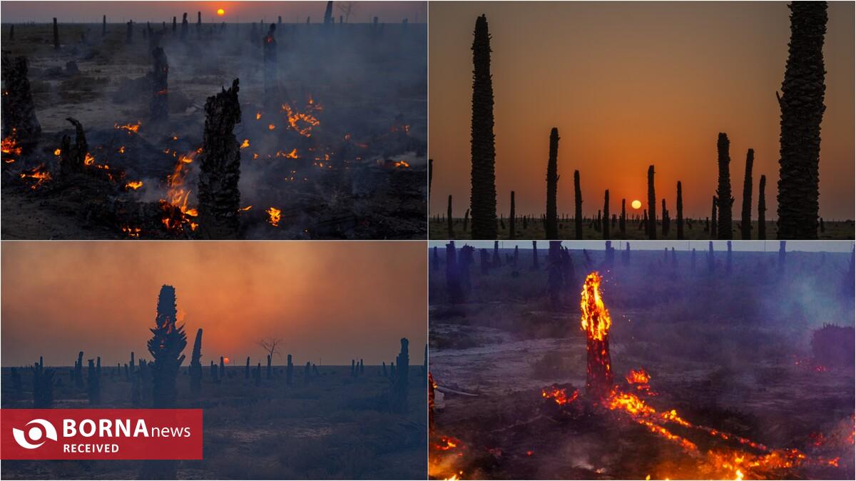 جشنواره فیلم کوتاه تهران ویترین نیست، میدان گفت‌وگوست