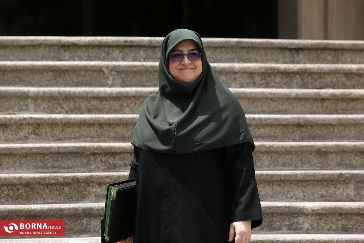 مهاجرانی: دولت کارگروه‌هایی برای رفع موانع تولیدکنندگان تشکیل داده است