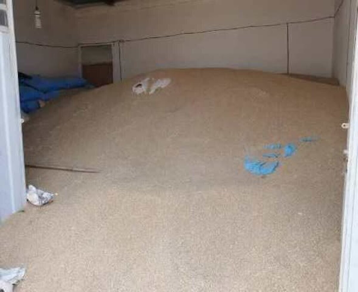 کشف ۲۴ تُن نهاده دامی قاچاق در کرمانشاه