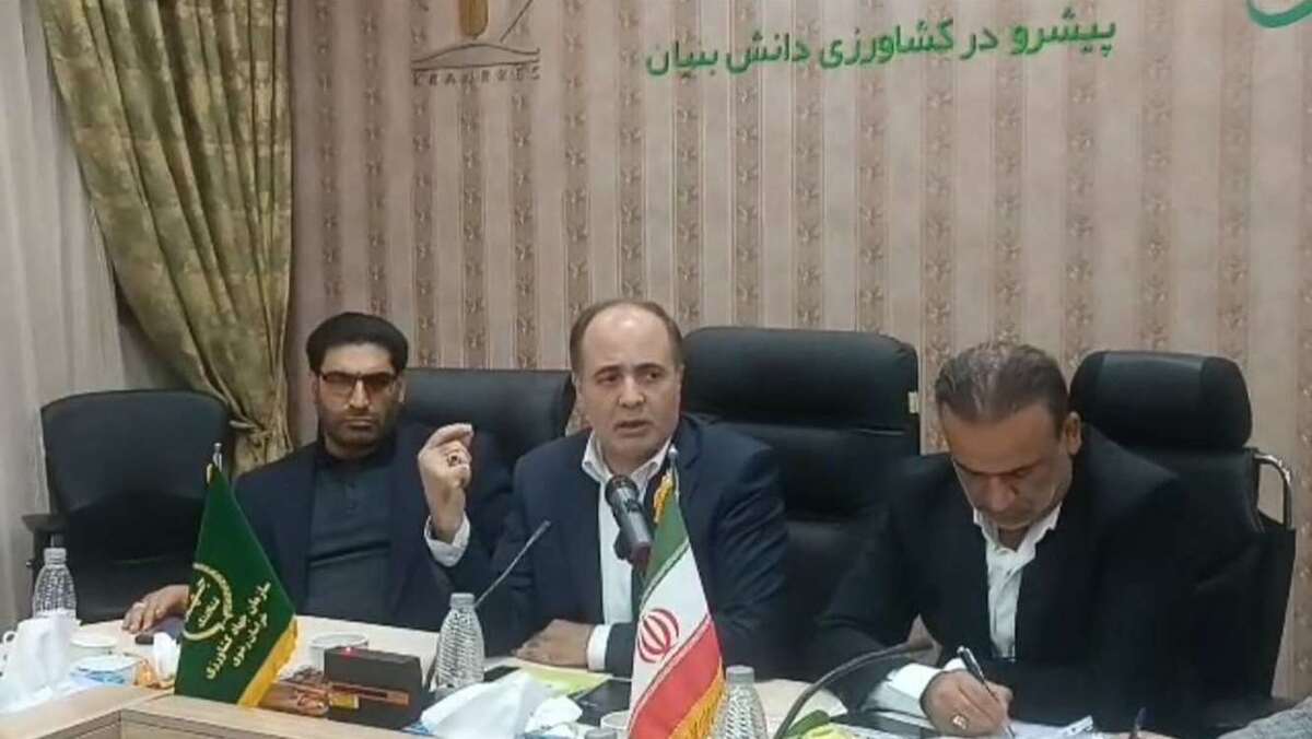 خوداتکایی ۸۶ درصدی کشور در تولید شکر/ برنامه ریزی برای خودکفایی در گوشت قرمز