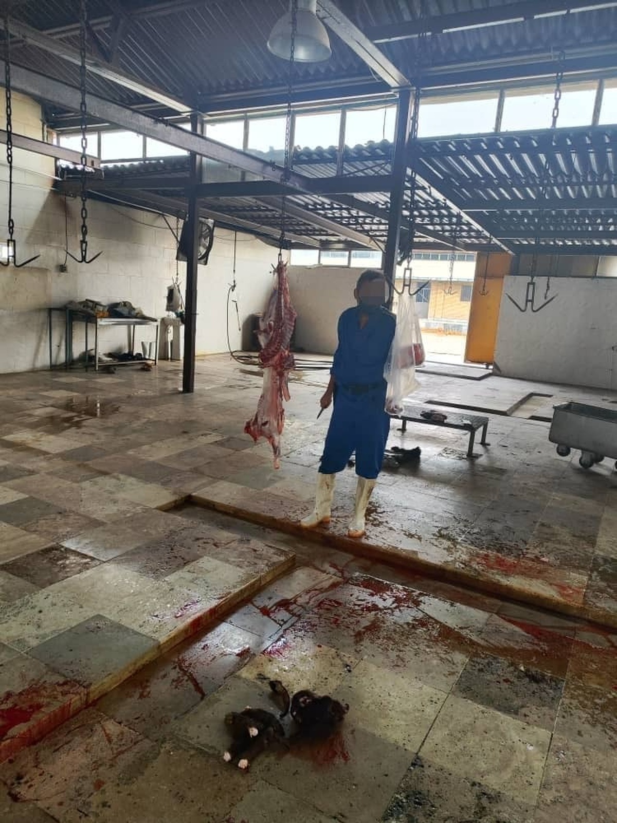 كشتارگاه دام بندرعباس به دليل تهديد عليه سلامت عمومی پلمب شد