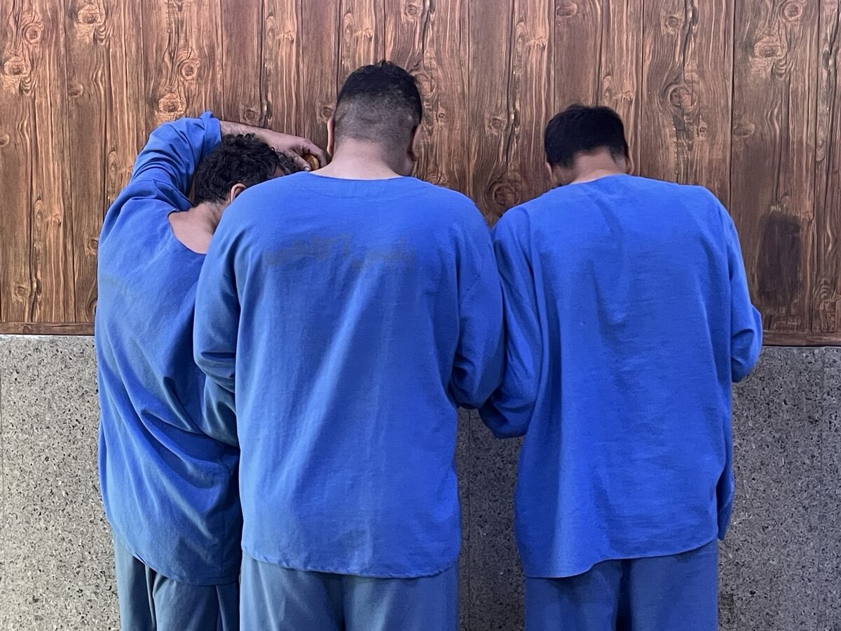 سرقت های بی رحمانه سارق شمشیر به دست از زنان و مردان در داخل پارکینگ خانه ها + فیلم