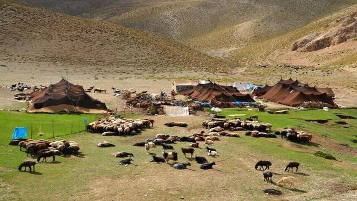 کرمان دومین استان عشایری کشور ولی با بحران خشکسالی و کمبود آب شدید