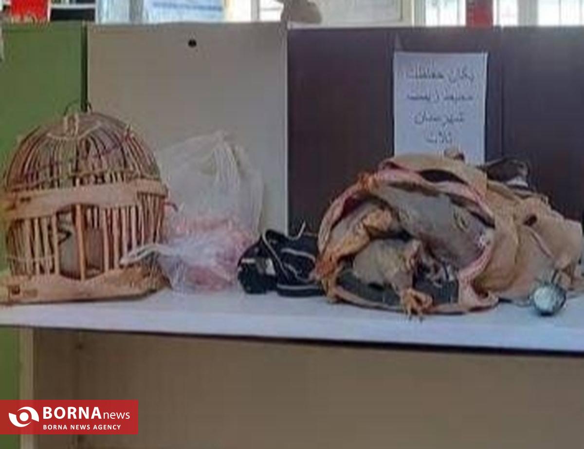 زمین‌گیر شدن شکارچیان متخلف در «تله‌تو» / عملیات پنج‌ساعته محیط‌بانان ثلاث باباجانی به ثمر نشست