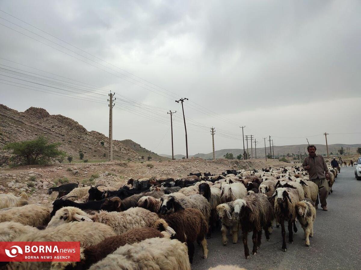 مسدودیت موقت محور کرج - چالوس به‌دلیل کوچ عشایر