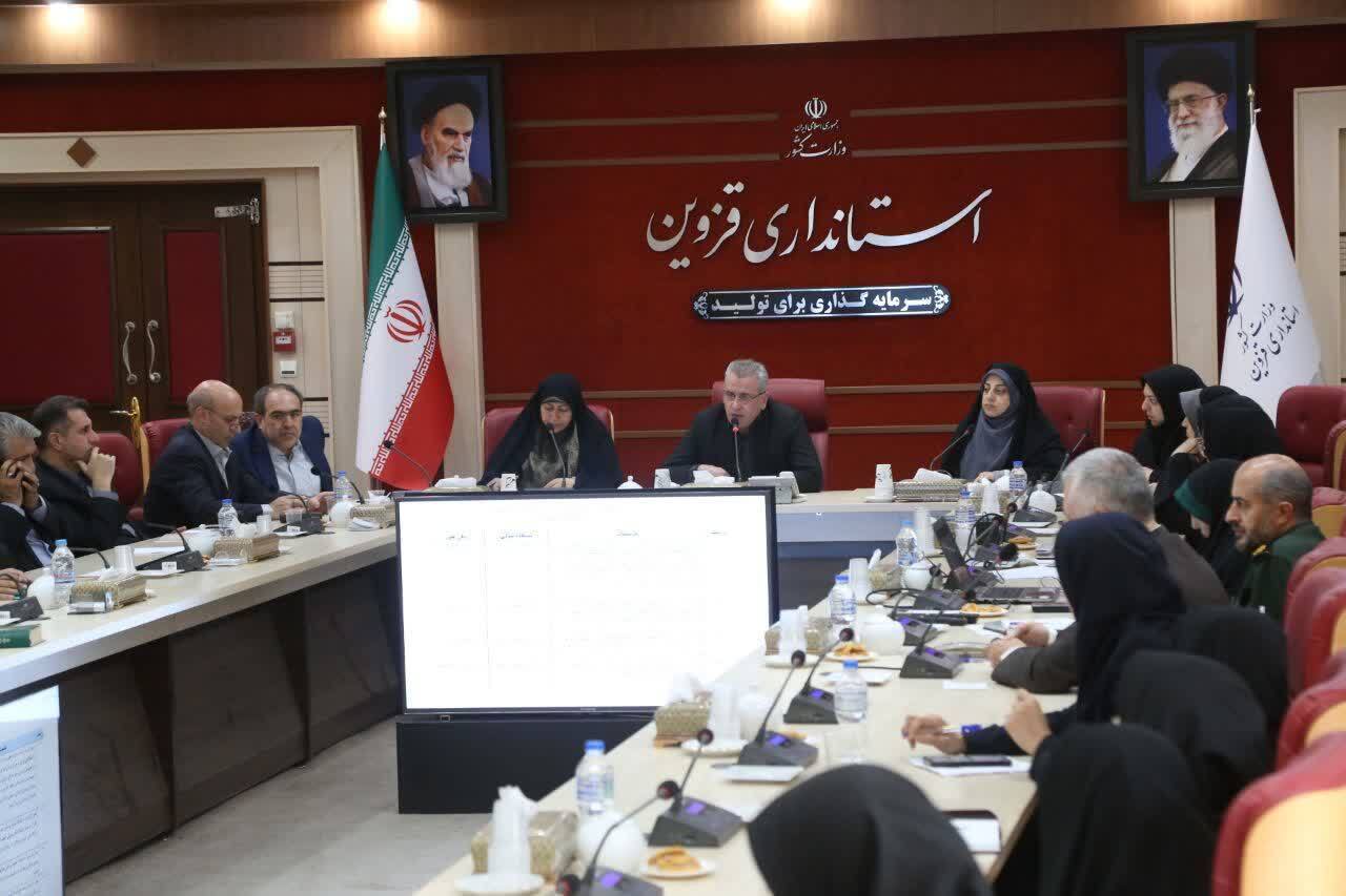 کلینیک‌های ناباروری در استان قزوین ظرفیت کافی برای خدمت رسانی را ندارند