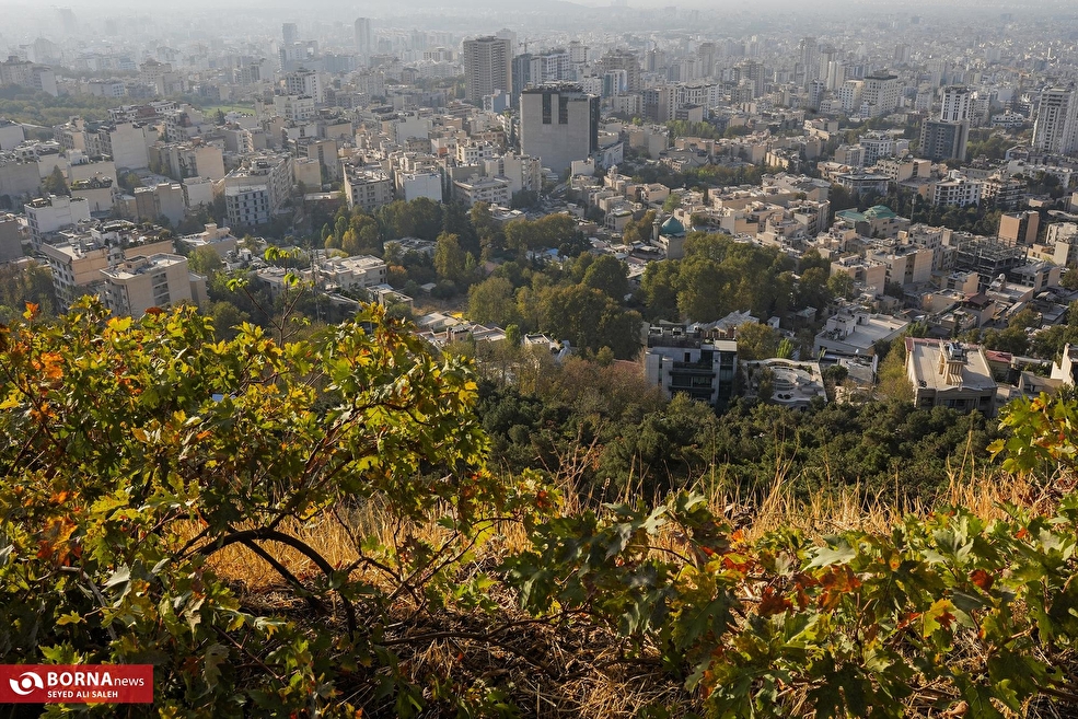 ورزش همگانی  و پیاده روی خانوادگی