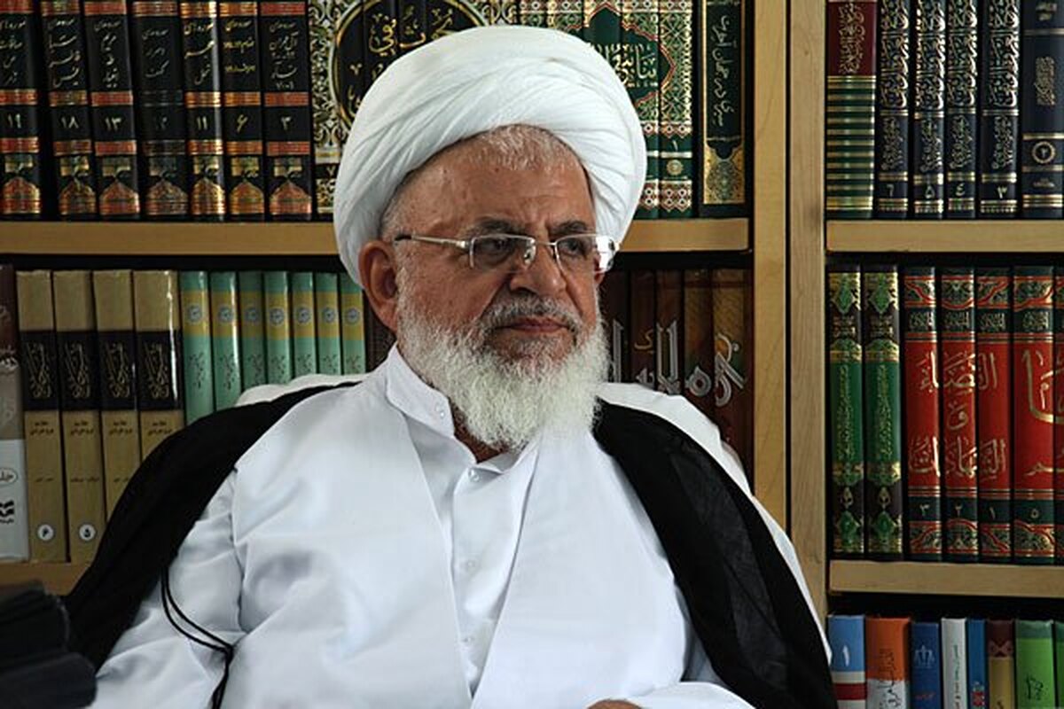 آیت الله ناصری: مردم باید با تبیین آیات و روایات به پرداخت زکات تشویق شوند