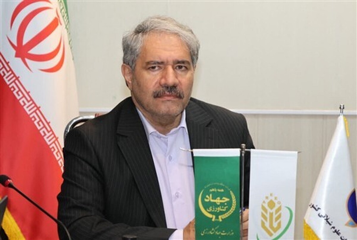 بازسازی اکوسیستم‌های آبی و مقابله با آلودگی نفتی در اولویت برنامه‌های دریایی کشور