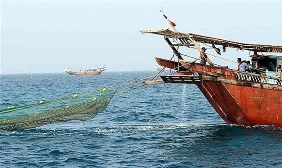 احیای زیستگاه‌های دریایی، محور فعالیت‌های شیلاتی در خلیج فارس