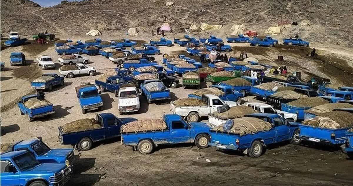 ۲۴ هزار میلیارد ریال جریمه نقدی و حبس تاوان قاچاق سوخت توسط مدیران سه شرکت بزرگ تولید فرآورده های نفتی