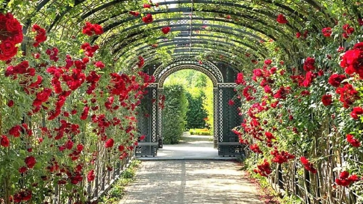 باغ «ایران‌زاد» اصفهان، کانونی تازه برای گیاهان بومی در کشور