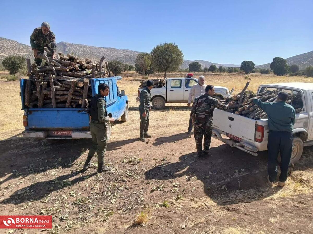 کشف بیش از ۲۰ تن چوب جنگلی قاچاق در کرمانشاه/ قاچاقچیان ناکام ماندند