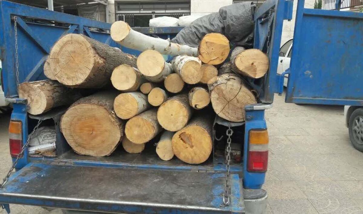 توقیف ۳۲ تن چوب قاچاق در زنجان