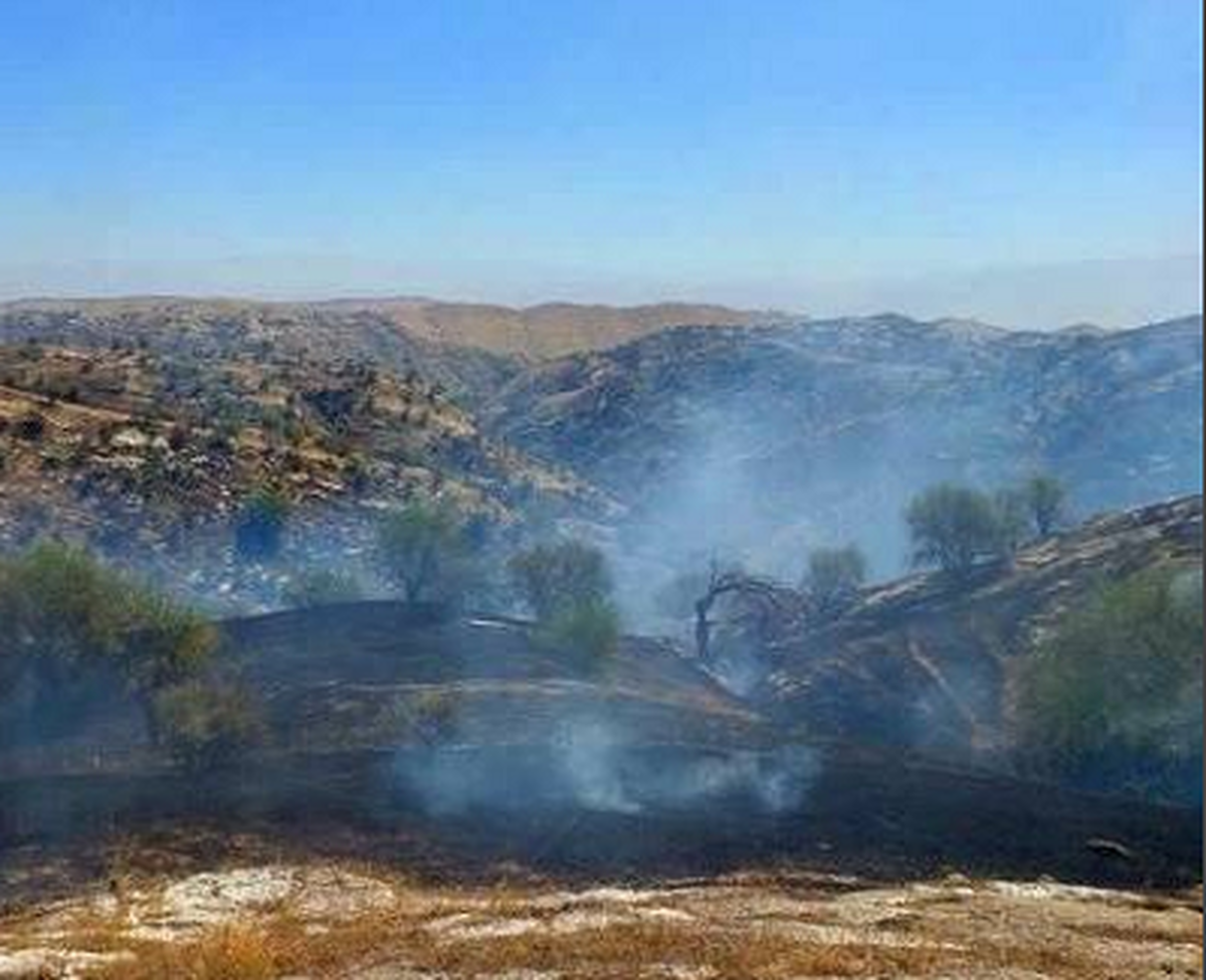 مهار آتش‌سوزی گسترده در منطقه سخت‌گذر «سپیدبرگ» جوانرود