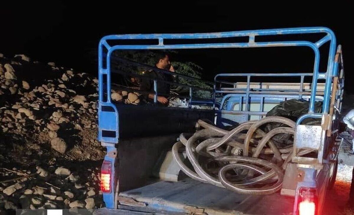 کشف و انهدام شبکه سرقت سوخت از خط لوله اصلی انتقال فرآورده‌های نفتی در بخش فین