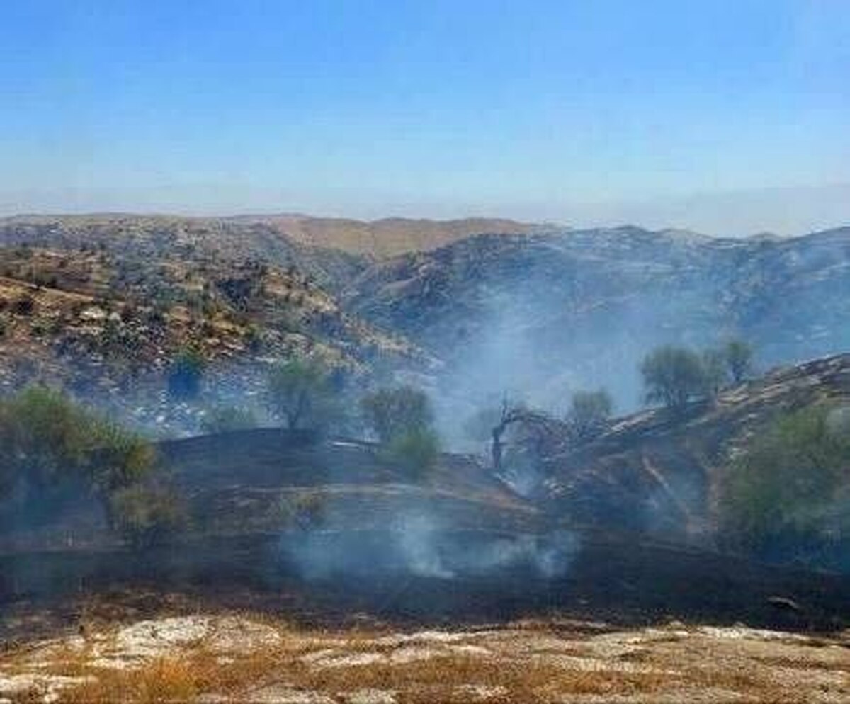 مهار آتش در جنگل‌های سپیدبرگ با ۱۲ ساعت عملیات مداوم