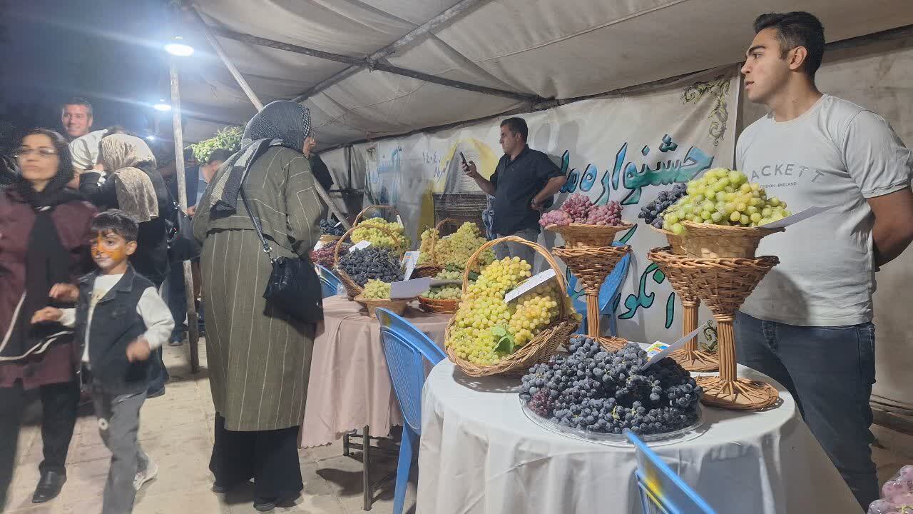 راه اندازی بازارچه دائمی محصولات کشاورزی و صنایع دستی در تاکستان ضروری است