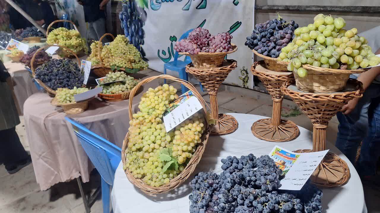 راه اندازی بازارچه دائمی محصولات کشاورزی و صنایع دستی در تاکستان ضروری است