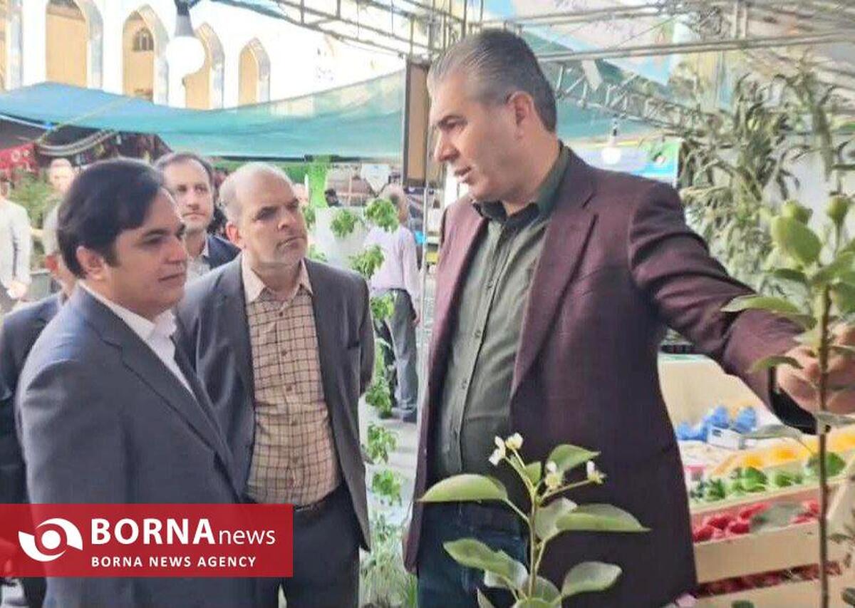 فرماندار نظرآباد: حمایت از کشاورزان و توسعه صادرات در اولویت است