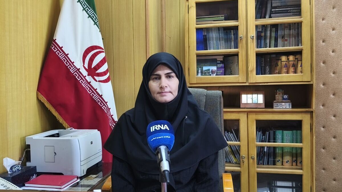 بهره‌گیری از بخش خصوصی برای تأمین مالی طرح‌ها در زنجان مغفول مانده است