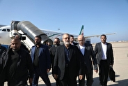 لاریجانی وارد فرودگاه بیروت شد