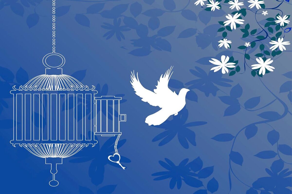 آزادی ۴۰ زندانی غیرعمد در آذربایجان‌شرقی