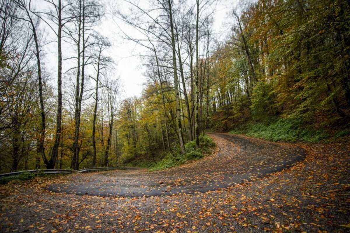 گردشگری پاییزی؛ گنج پنهان مازندران