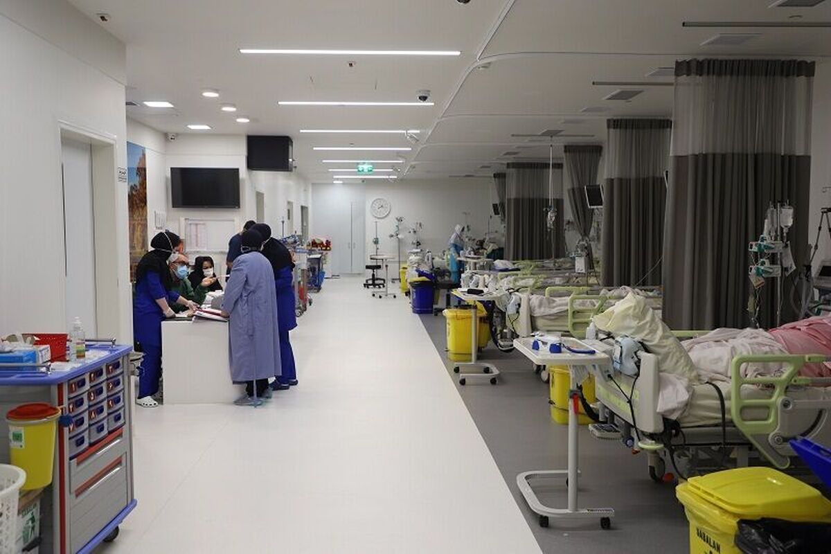 اعلام اسامی دانشجویان جانباخته و مصدوم تصادف اتوبوس در سمنان