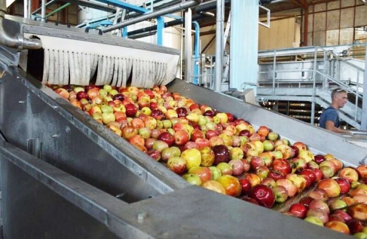 تولید یک پنجم کنسانتره میوه کشور در استان آذربایجان‌غربی