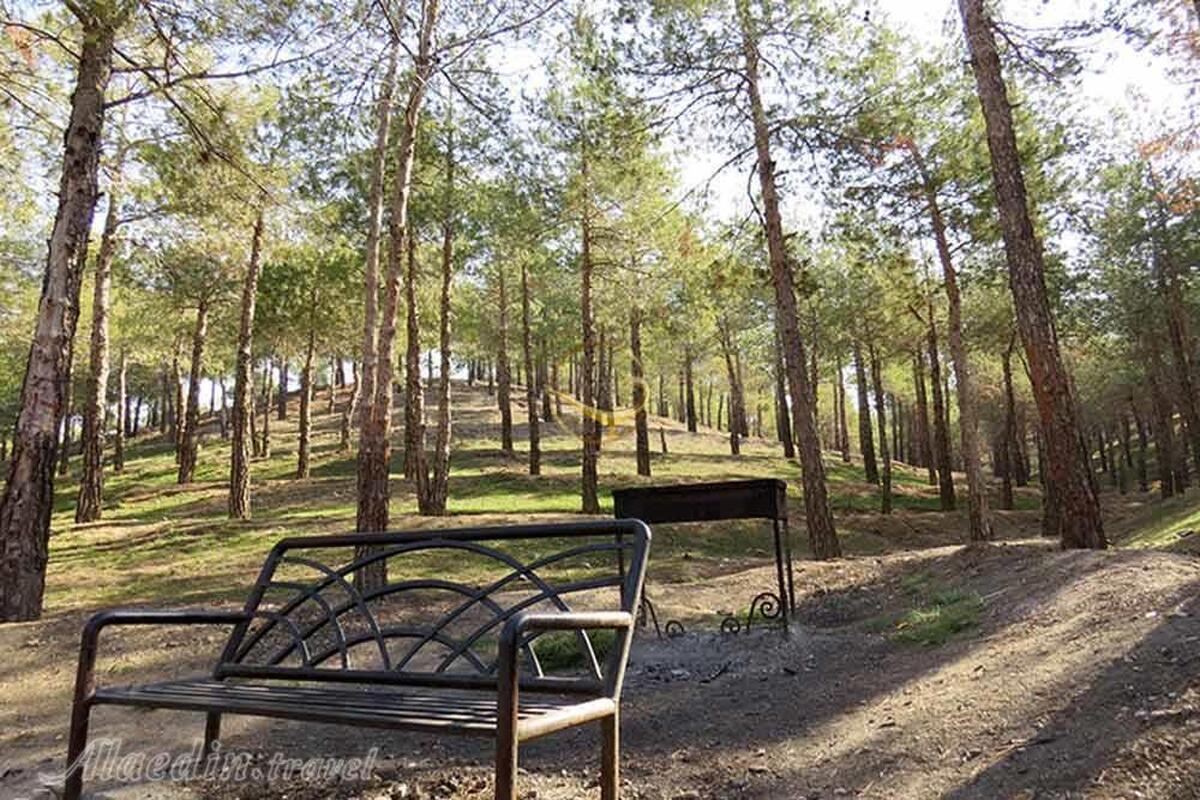 آخر هفته خود را در پارک جنگلی چیتگر بگذرانید