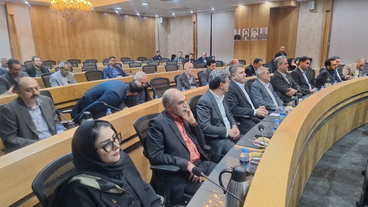 پور محمدی: قزوین گهواره تمدنی و مینیاتور تمدن ایران است