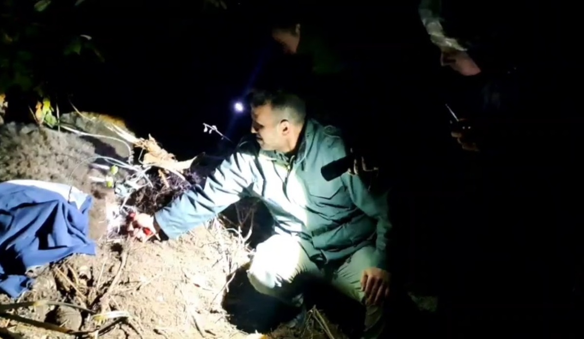 عملیات نجات خرس قهوه‌ای گرفتار در سیم خاردار مشگین‌شهر