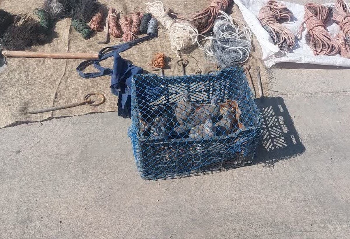 دستگیری ۲ متخلف حرفه‌ای زنده‌گیری پرندگان شکاری با تجهیزات کامل در خاتم