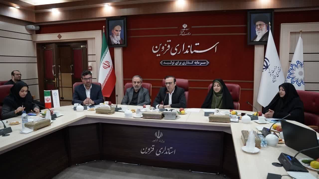 بانوان توانمند می توانند در تدوین « دیپلماسی اقتصادی استان قزوین» مشارکت کنند