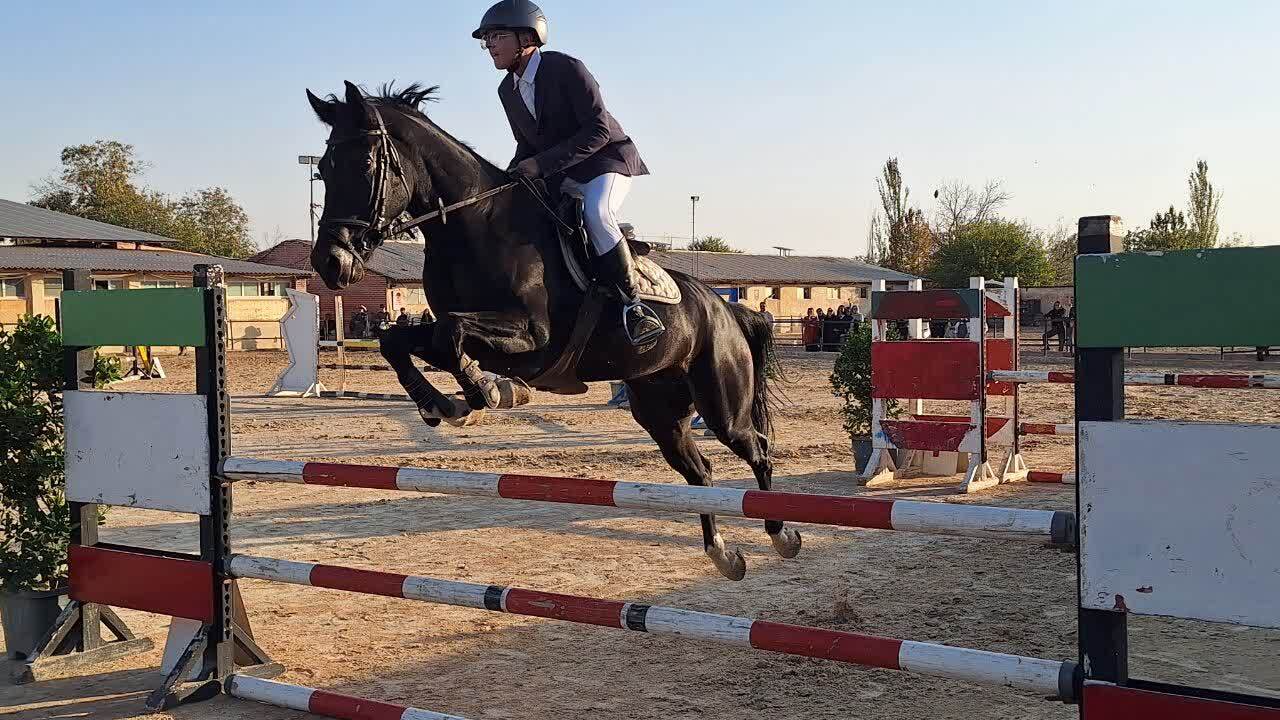 سوارکار نونهالی که می خواهد جهانی شود/ دلسا طاهرخانی سوارکاری که می تواند مدال آور شود سوارکار نونهالی که می خواهد جهانی شود/ دلسا طاهرخانی سوارکاری که می تواند مدال آور شود